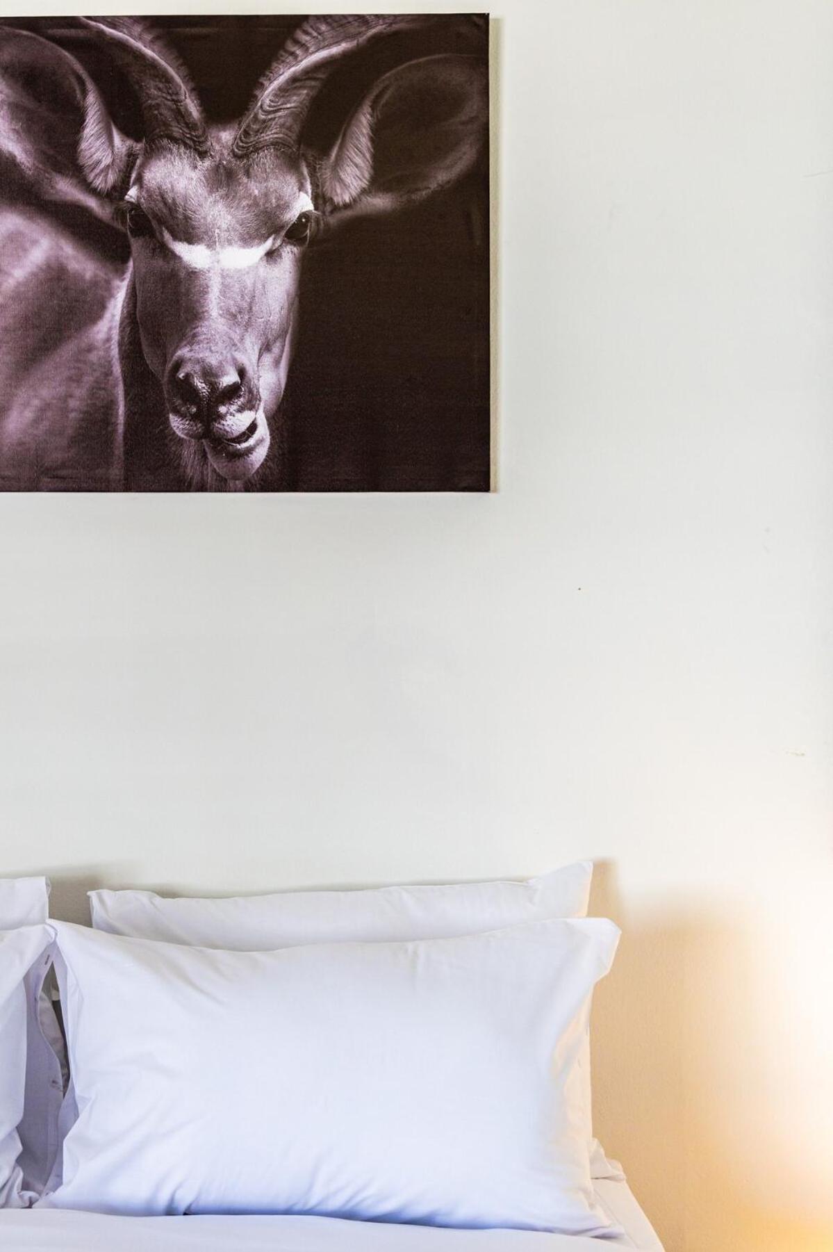 Charming Sea Point Apartment Cape Town